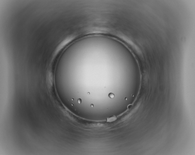 X0000110921317200906251410