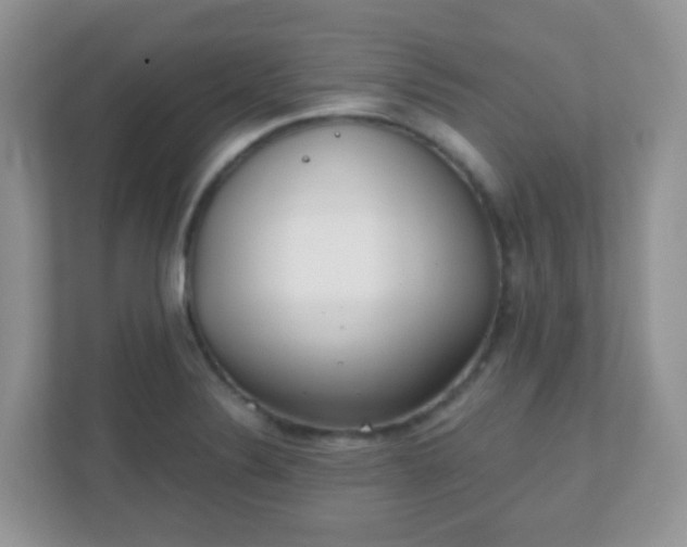 X0000110921324200906251410