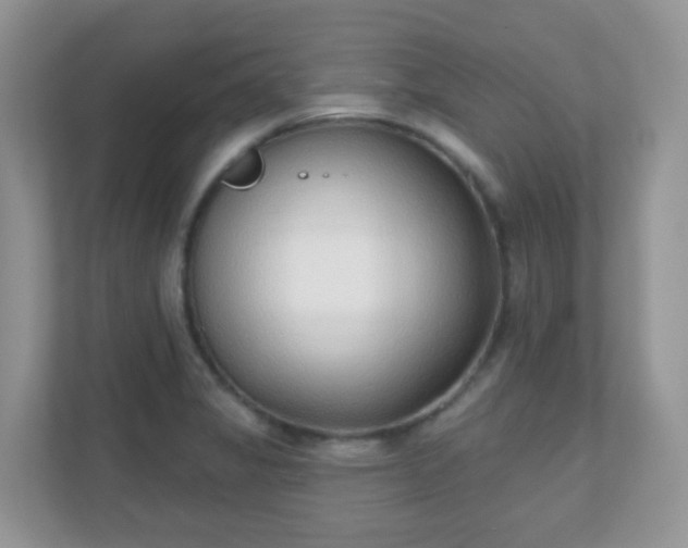 X0000110921325200906251410