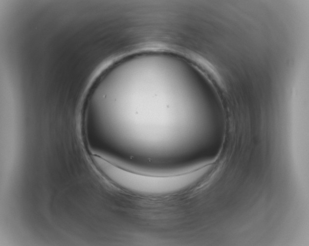 X0000110921326200906251410