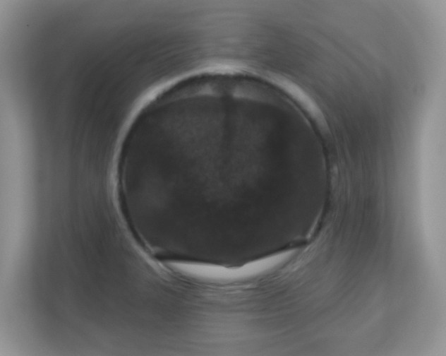 X0000110921327200906251410
