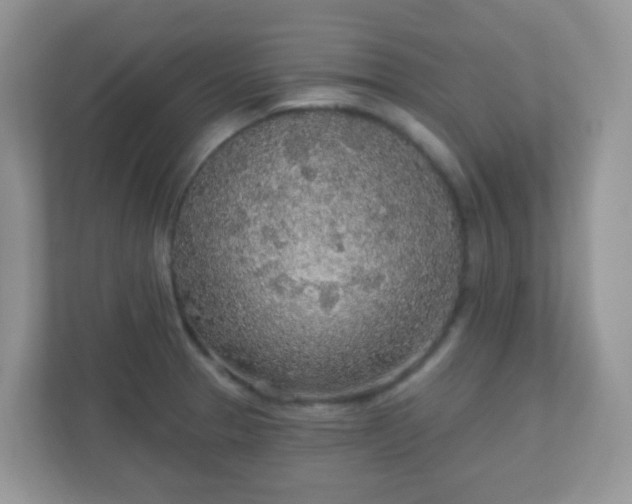 X0000110921329200906251410