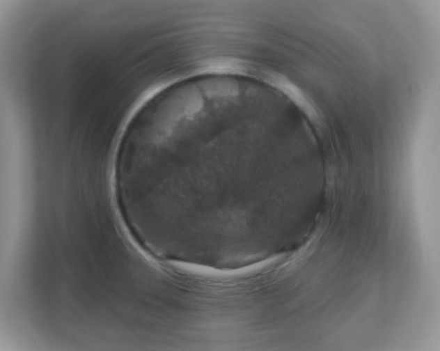 X0000110921331200906251410