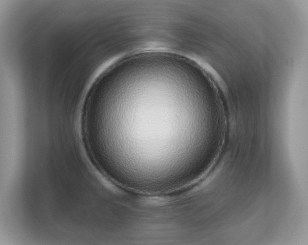 X0000110921333200906251410