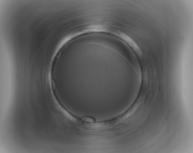 X0000110921334200906251410