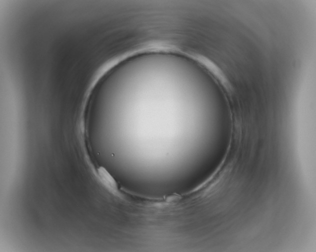 X0000110921335200906251410