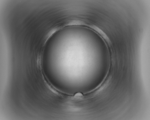X0000110921337200906251410