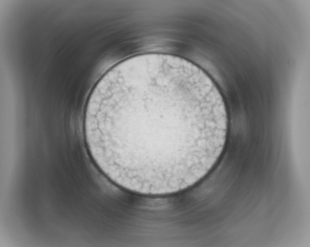 X0000110921338200906251410