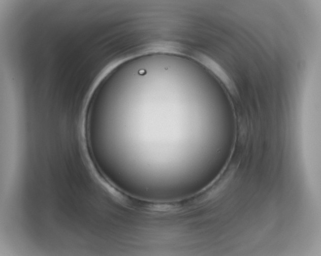 X0000110921339200906251410
