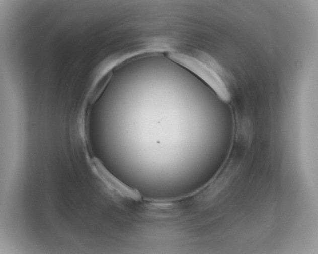 X0000110921342200906251410