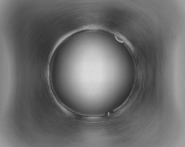 X0000110921343200906251410