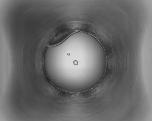 X0000110921345200906251410