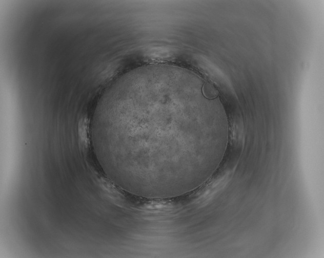 X0000110921346200906251410