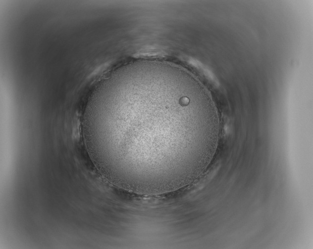 X0000110921350200906251410