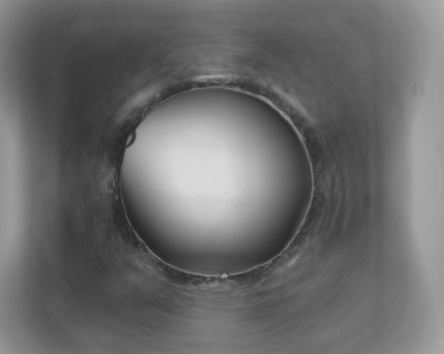X0000110921351200906251410