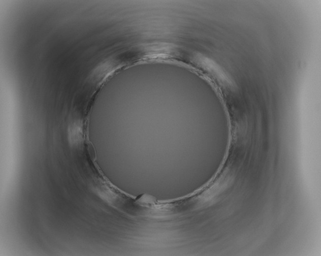 X0000110921353200906251410