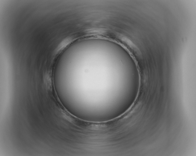 X0000110921354200906251410