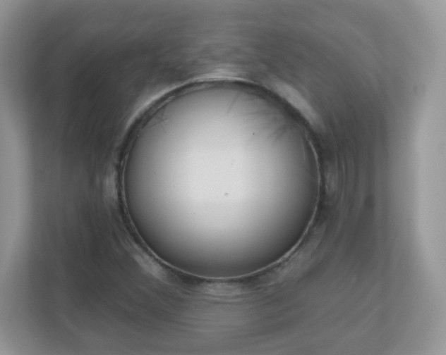 X0000110921356200906251410