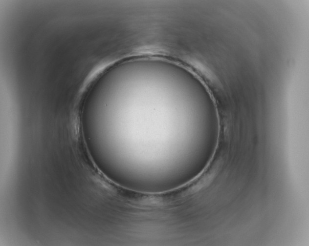 X0000110921358200906251410