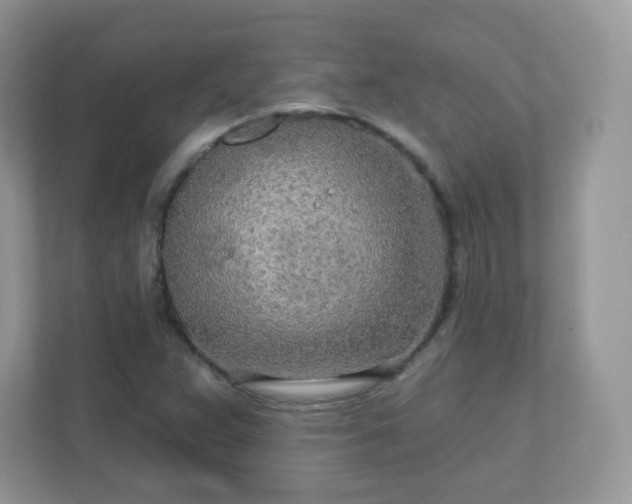 X0000110921359200906251410