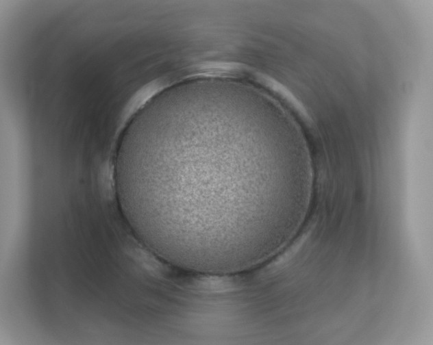 X0000110921362200906251410