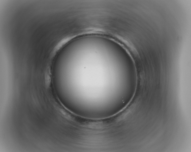 X0000110921363200906251410