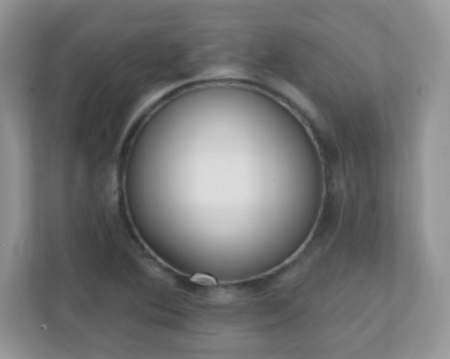 X0000110921364200906251409