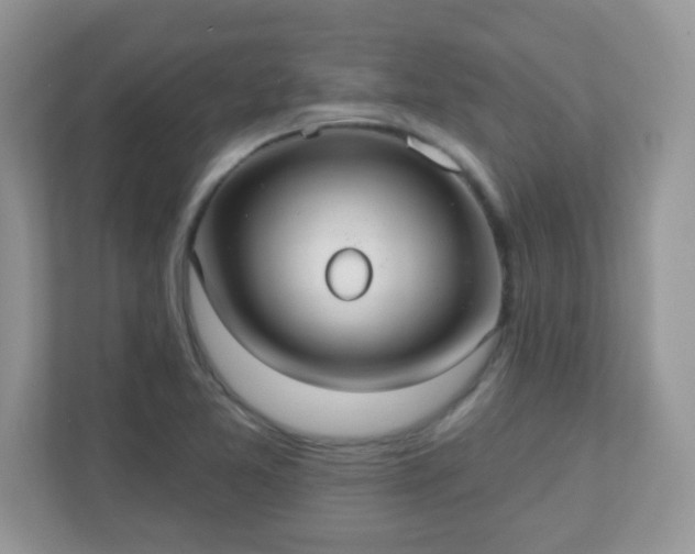 X0000110921365200906251409