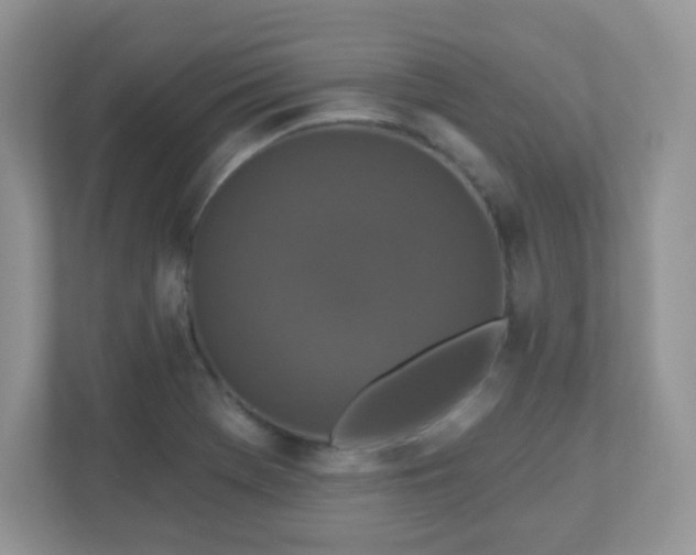 X0000110921369200906251409