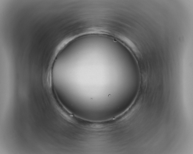 X0000110921371200906251409