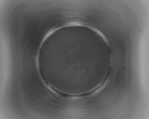 X0000110921373200906251409
