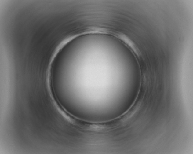 X0000110921379200906251409