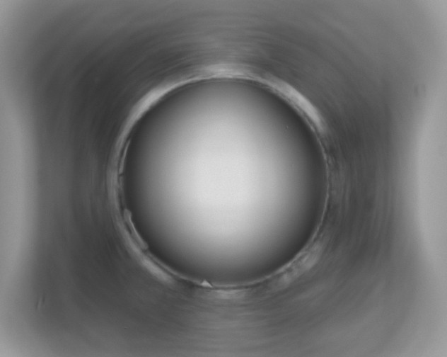 X0000110921381200906251409
