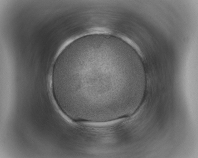 X0000110921383200906251409