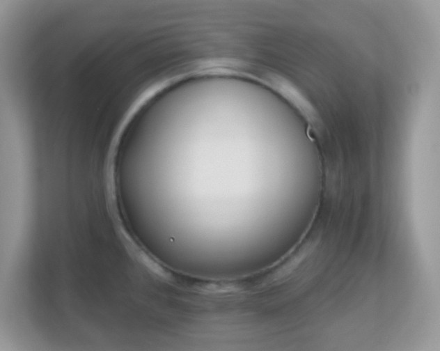 X0000110921384200906251409
