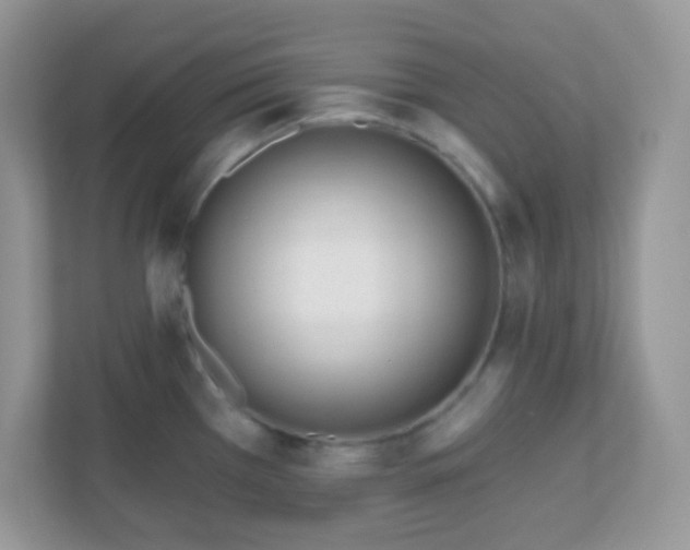 X0000110921385200906251409
