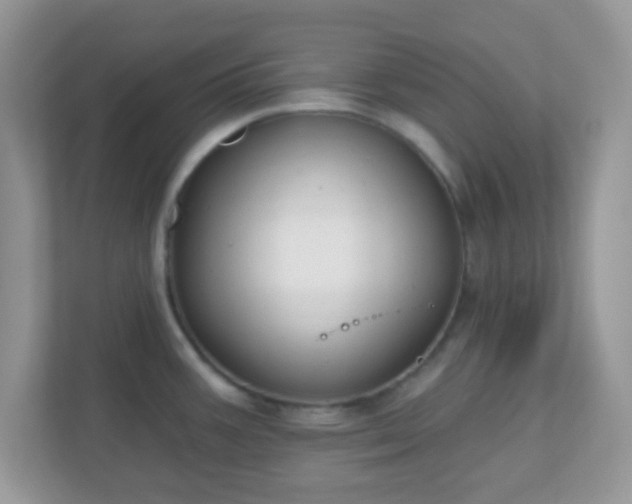 X0000110921387200906251409
