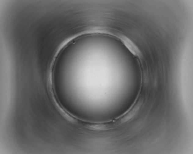 X0000110921388200906251409