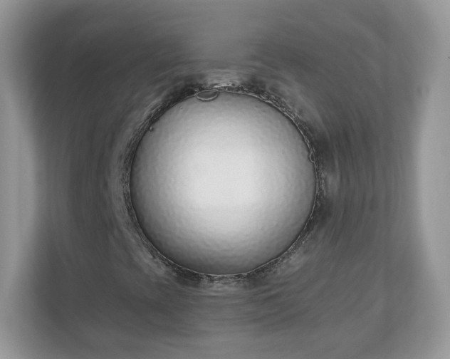 X0000110921393200906251408