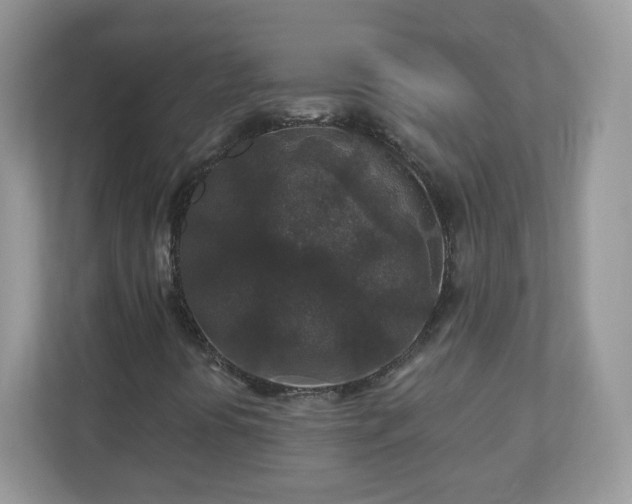 X0000110921394200906251409