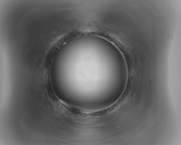 X0000110921398200906251409