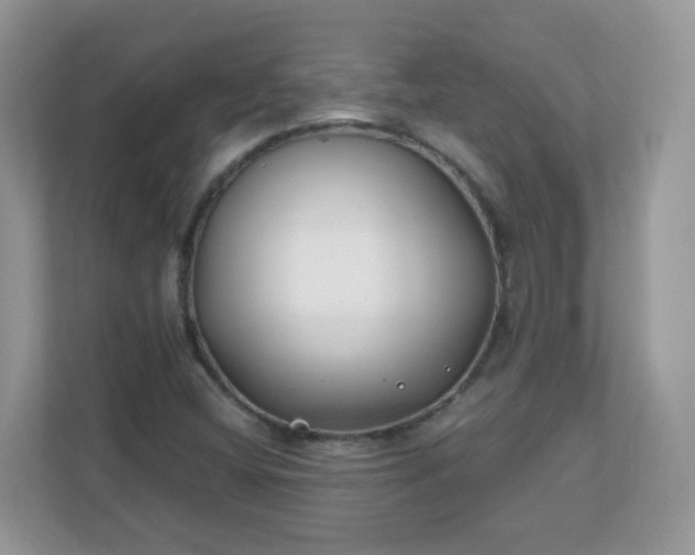 X0000110921404200906251409