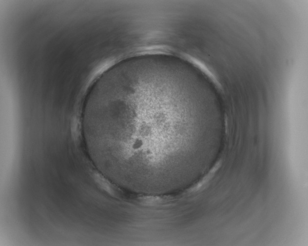 X0000110921405200906251409