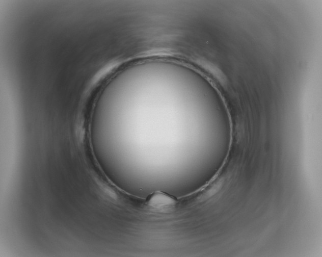 X0000110921406200906251409