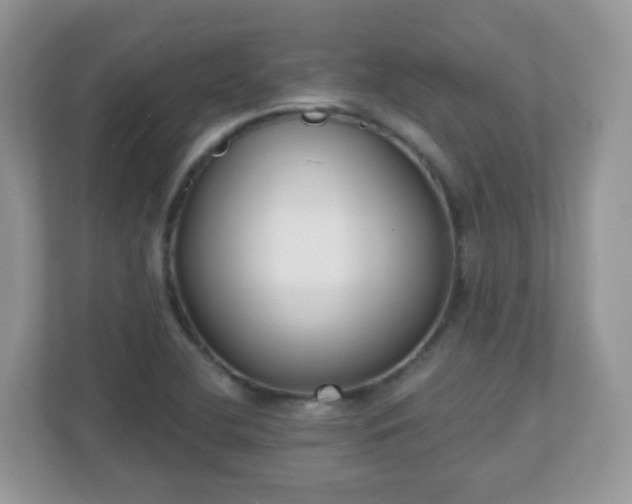 X0000110921412200906251409