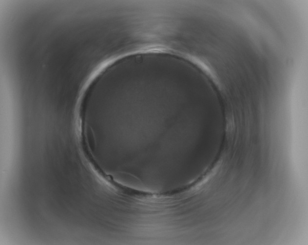 X0000110921414200906251409