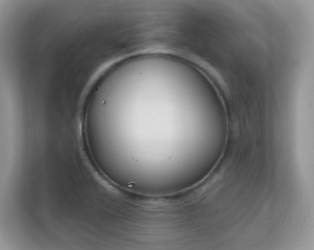 X0000110921416200906251409