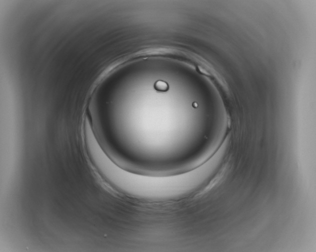 X0000110921417200906251409