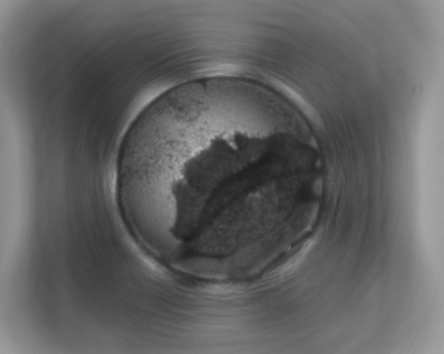 X0000110921418200906251409