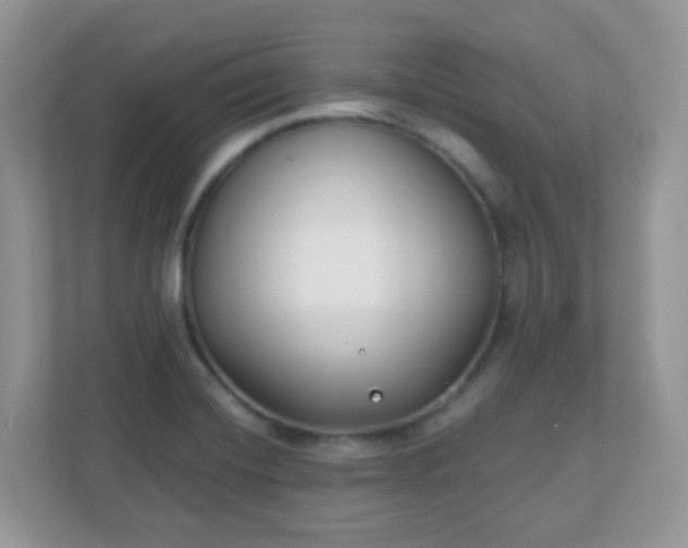 X0000110921420200906251409